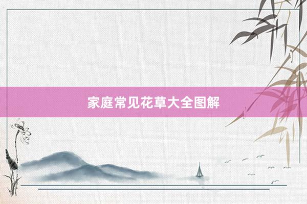 家庭常见花草大全图解