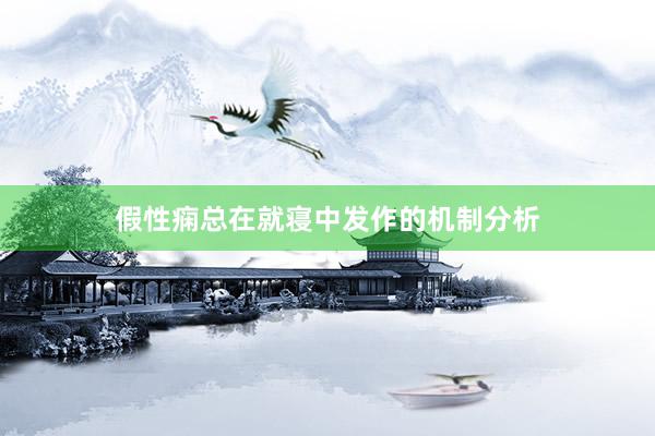 假性痫总在就寝中发作的机制分析