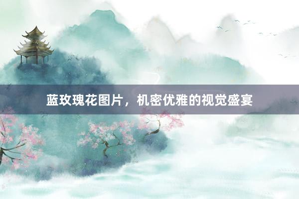 蓝玫瑰花图片，机密优雅的视觉盛宴