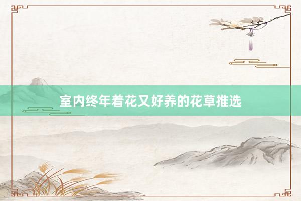 室内终年着花又好养的花草推选