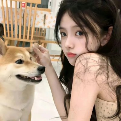 鲁邦三世：拿破仑词典争夺战